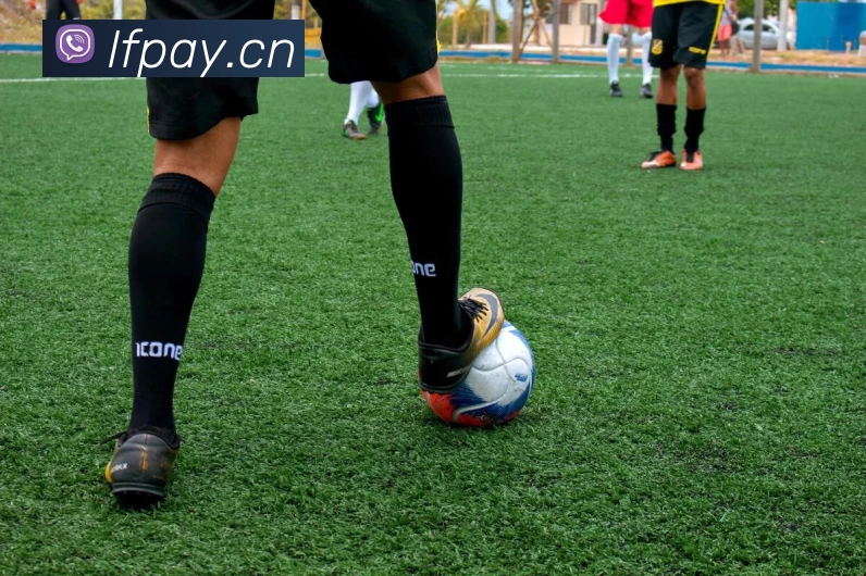 App Interface Preview